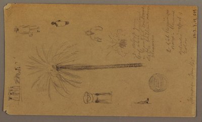 Dessin, Croquis de la Jamaïque, Antilles, juin 1865 - Frederic Edwin Church