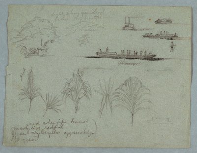Dessin, Croquis du Rio Magdalena, Colombie :  Plantes, bateau à vapeur et champan, 1853, probablement mai - Frederic Edwin Church