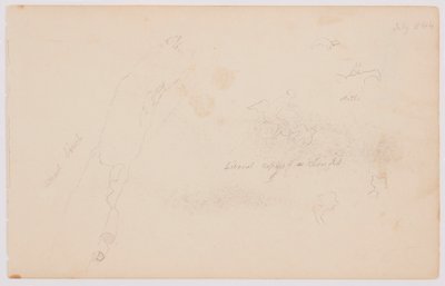 Dessin, Esquisses de nuages et de bouleau mort, juillet 1844 - Frederic Edwin Church
