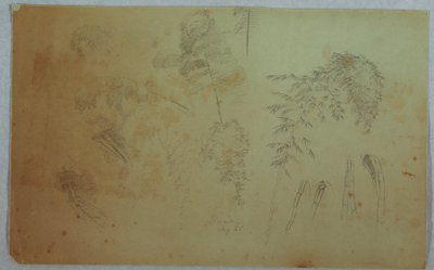 Dessin, Études de cimes d