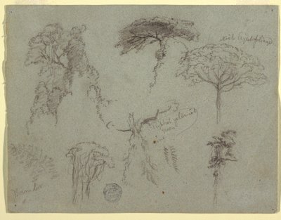 Dessin, Études d
