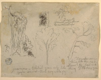 Dessin, Études d