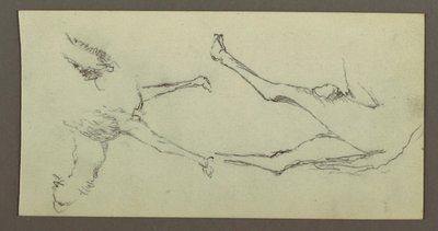 Dessin, étude des pattes de chameau, peut-être 1868 - Frederic Edwin Church