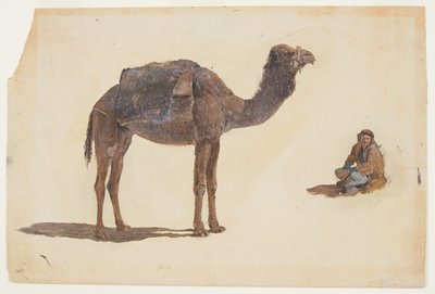 Dessin, étude d