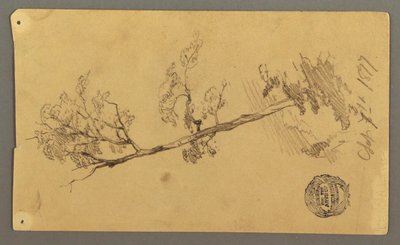 Dessin, arbre, 1877 - Frederic Edwin Church