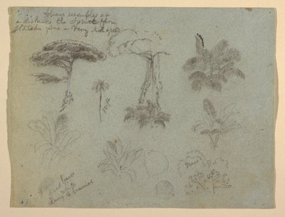 Dessin, Études d