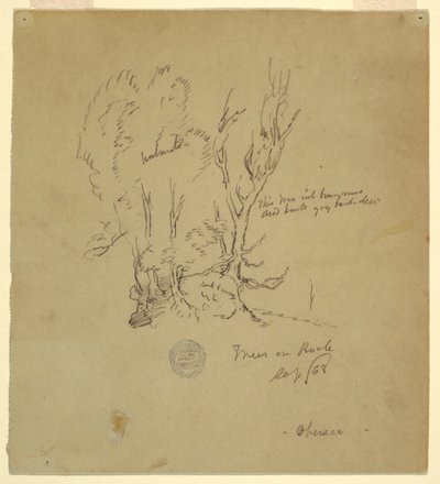 Dessin, Arbres Obersee dans les Alpes bavaroises ou méridionales, septembre 1868 - Frederic Edwin Church