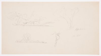 Dessin, Arbres, un rivage avec des buissons et des arbres, septembre 1876 - Frederic Edwin Church