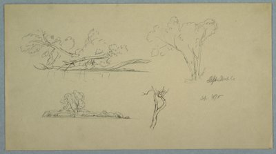 Dessin, Arbres, un rivage avec des buissons et des arbres, septembre 1876 - Frederic Edwin Church