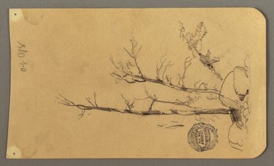 Dessin, Arbres, rochers, 1878 - Frederic Edwin Church