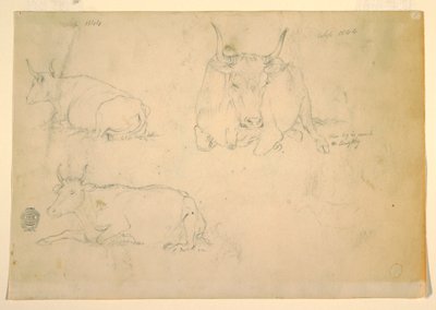 Dessin, Vues de bovins accroupis, septembre 1844 - Frederic Edwin Church