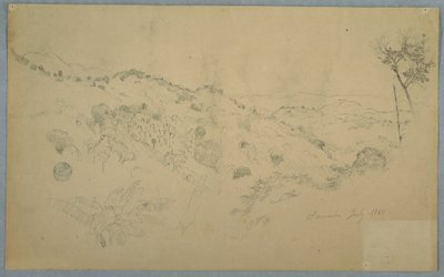 Dessin, vallée boisée avec une grande fougère et des chaînes de montagnes lointaines, Jamaïque, juillet 1865 - Frederic Edwin Church