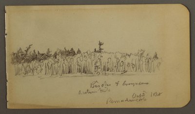 Dessin, rivage boisé, 1878 - Frederic Edwin Church