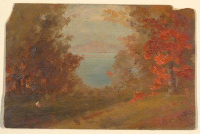 Dessin, scène de forêt en automne (Hudson, New York ou Maine), 1860-70 - Frederic Edwin Church