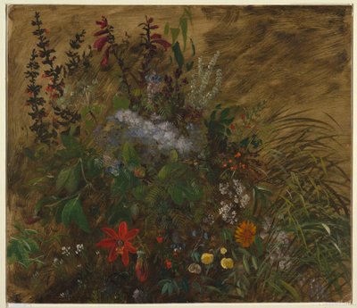 Fleurs en Jamaïque - Frederic Edwin Church