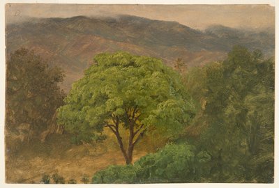 Arbre de genip dans les montagnes, Jamaïque - Frederic Edwin Church