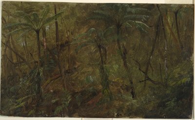 Dans les bois, Jamaïque - Frederic Edwin Church