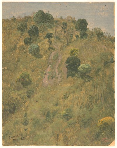 Paysage, Jamaïque - Frederic Edwin Church