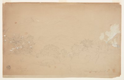 Paysage près de Guaranda, Équateur - Frederic Edwin Church