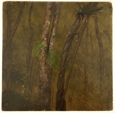 Paysage en Jamaïque - Frederic Edwin Church