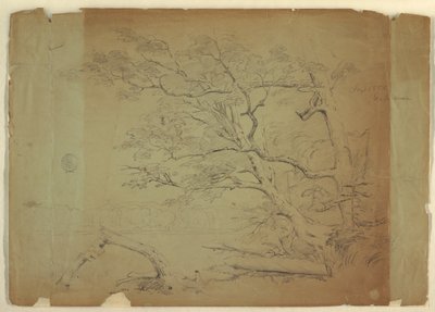 Paysage avec arbres et ruisseau [?], Île Grand Manan, Canada - Frederic Edwin Church