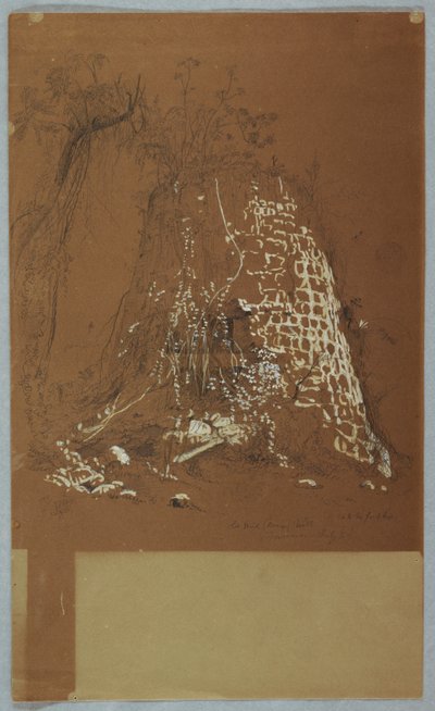 Vieux moulin à vent, Jamaïque - Frederic Edwin Church