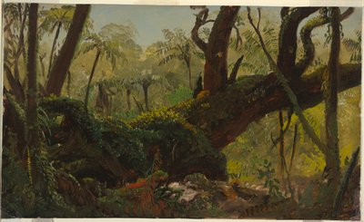 Forêt tropicale, Jamaïque - Frederic Edwin Church