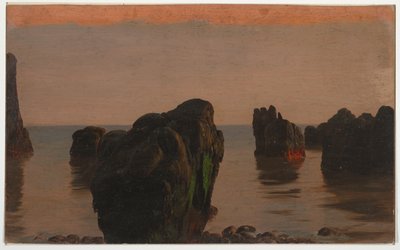 Rochers et mousse au large de Grand Manan - Frederic Edwin Church
