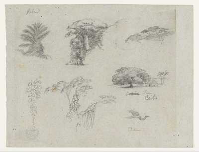 Croquis d