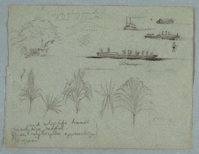 Croquis du Rio Magdalena, Colombie : Plantes, vapeur et un champan - Frederic Edwin Church