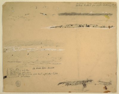 Études de mouettes, côte rocheuse et ciel nuageux, Grand Manan, Canada - Frederic Edwin Church
