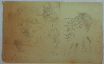 Études de cimes d