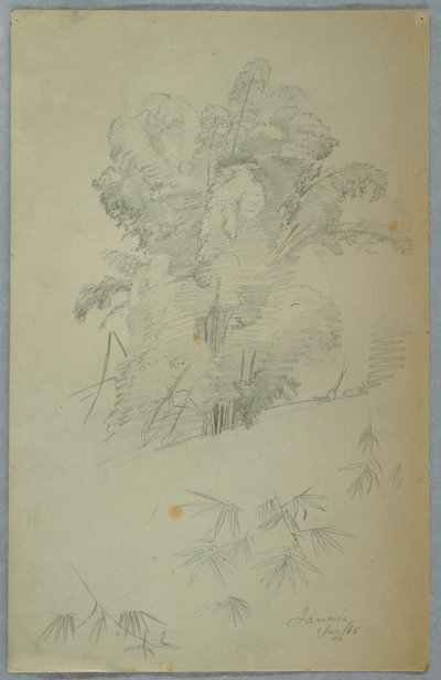 Études d