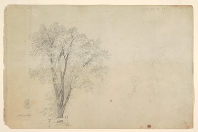 Arbres - Frederic Edwin Church