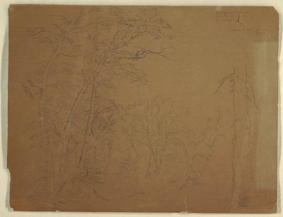 Arbres, Île Grand Manan, Canada - Frederic Edwin Church
