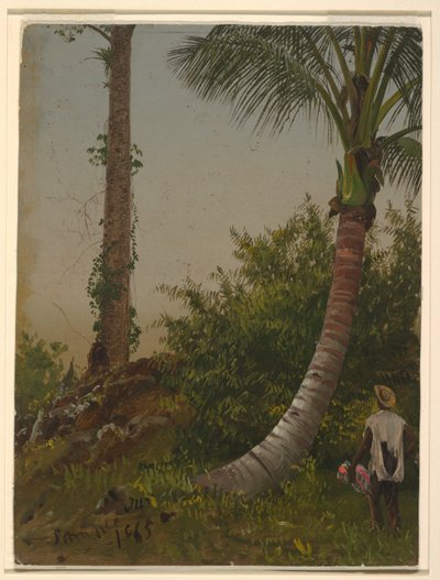 Arbres en Jamaïque, Antilles - Frederic Edwin Church