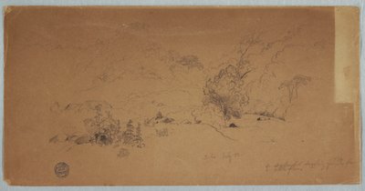 Vue de Toche, Colombie - Frederic Edwin Church