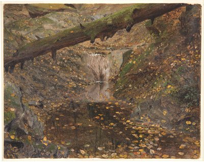 Ruisseau forestier, peut-être Mt. Desert, Maine - Frederic Edwin Church