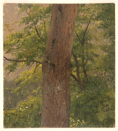 Étude de forêt, Jamaïque - Frederic Edwin Church