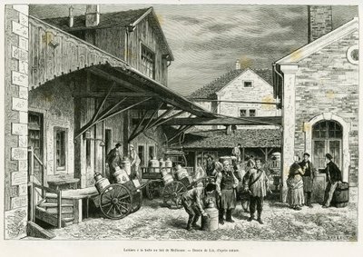 Laiterie à la Halle au lait de Mulhouse. Gravure de Lix pour illustrer le récit À travers l