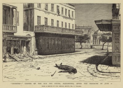 Abandonné, coin de la rue des Sœurs, Alexandrie, après le massacre du 11 juin - Frederic Villiers