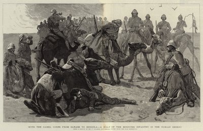 Avec le Corps de Chameaux de Sarass à Dongola, une halte de l