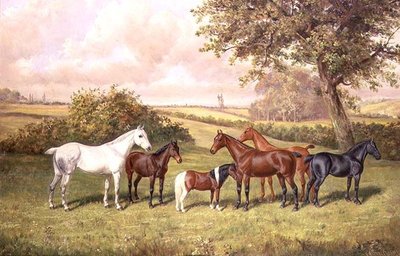 Un groupe de poneys - Frederick Albert Clark