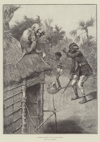 Vol sur la route par un singe indien - Frederick Barnard