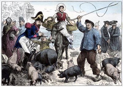 Marché aux cochons, Boulogne - Frederick Barnard
