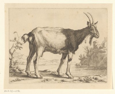 Chèvre - Frederick Bloemaert
