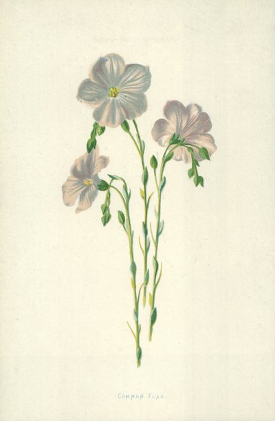 Lin commun - Frederick Edward Hulme
