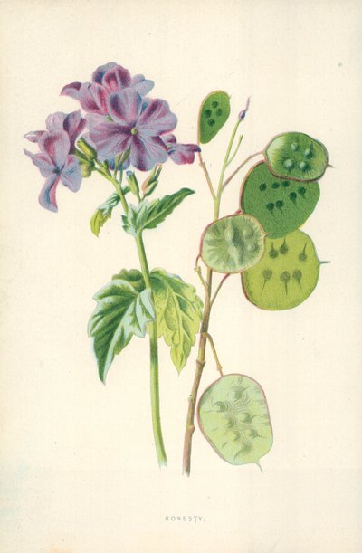 Honnêteté - Frederick Edward Hulme