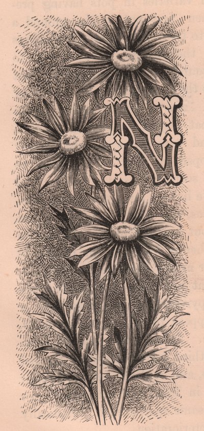 Lettre N, lettrine, gravure, par Frederick Edward Hulme, vers 1880 - Frederick Edward Hulme