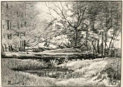 Piscine dans les Adirondacks - Frederick Eugene Bartlett